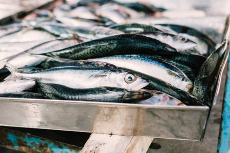 Raw anchovies at fish market