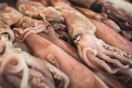 Raw squid at fish market