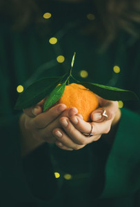 Tangerine fruit in hands of lady wearing green dress
