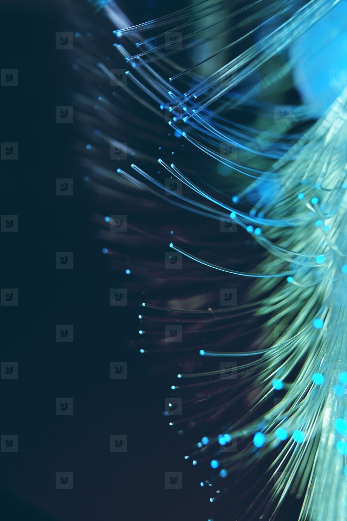 An amazing and vibrant macro of blue fiber optical pipes that il