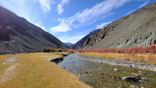 Leh Ladakh 161074