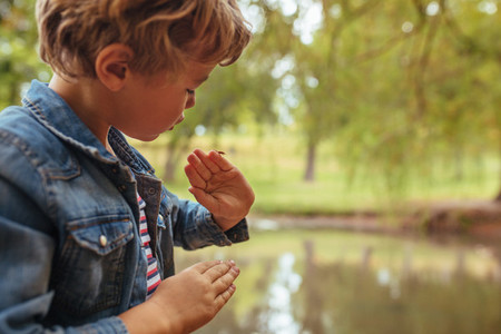 Little boy looking at an insect on his hand