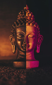 Buddha Collage