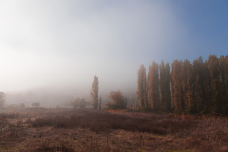 Autumn landscape with fog in the forest