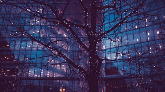 Christmas tree lights in city of London business office building