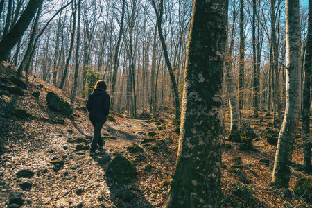 A girl walking through a forest