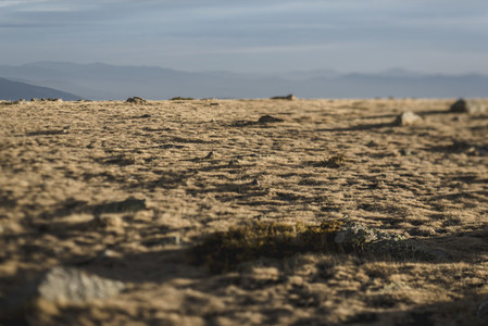 Remote desert landscape with rocks