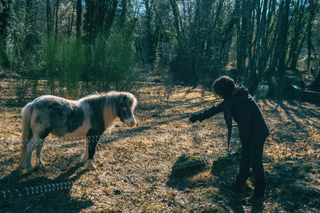 A girl approaching a pony