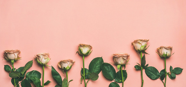 Flat lay of roses over light pink background copy space