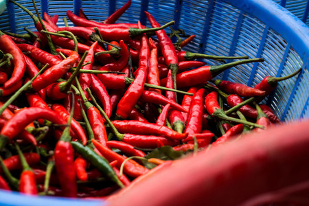 Hot chilli peppers in basket
