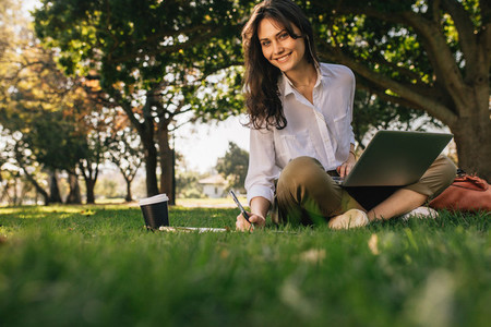 Freelancer working on laptop on green lawn in park