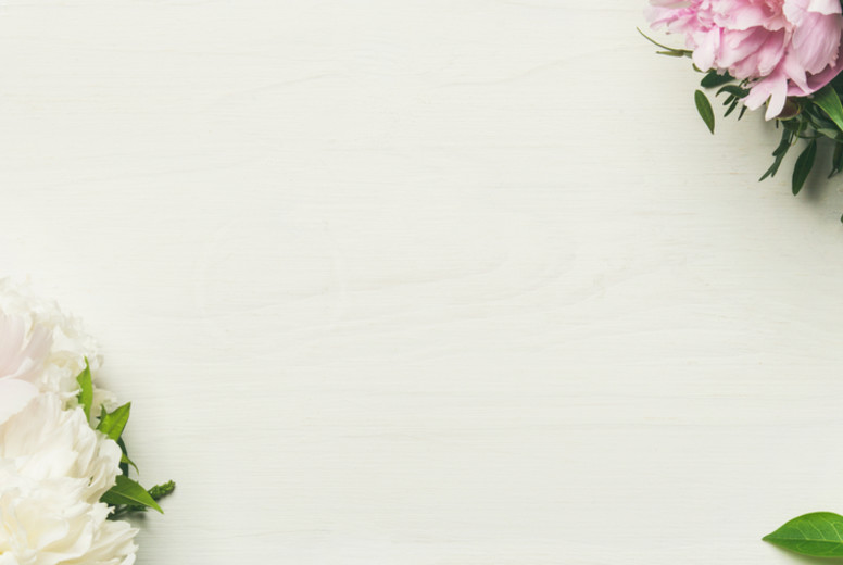 Flat-lay of peony flowers over white background, copy space