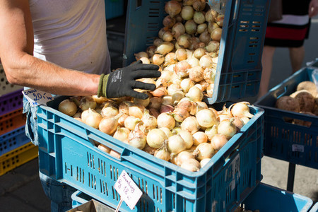 Onion for sale at farmers market