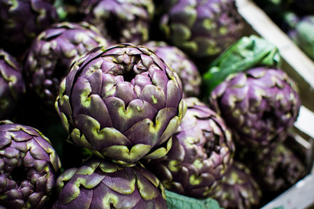 Organic purple artichoke