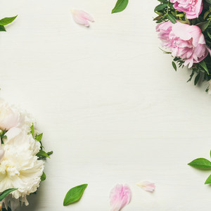 Flat lay of peony flowers over white background copy space