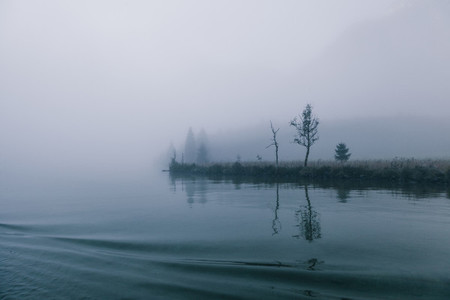 views of forest among fog in border of the lake with mysterious trees