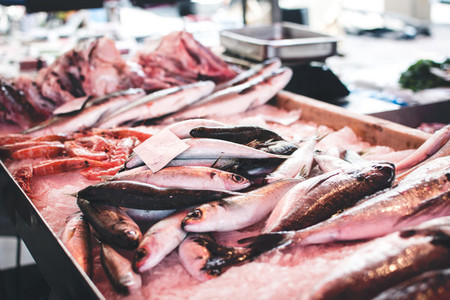 Sardines at fish market