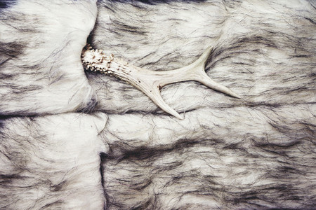 Animal fur in fashion background