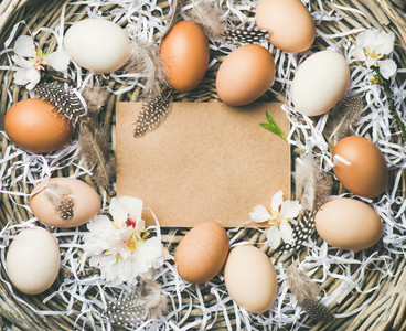 Easter background with eggs flowers and feathers copy space