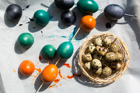 Easter quail and colored eggs