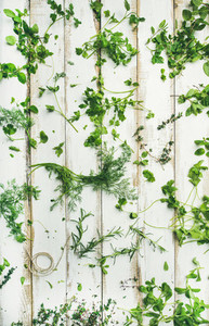 Various fresh green kitchen herbs for healthy cooking