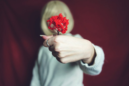 Young woman holding a little red tree