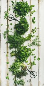 Various fresh green kitchen herbs over white wooden background