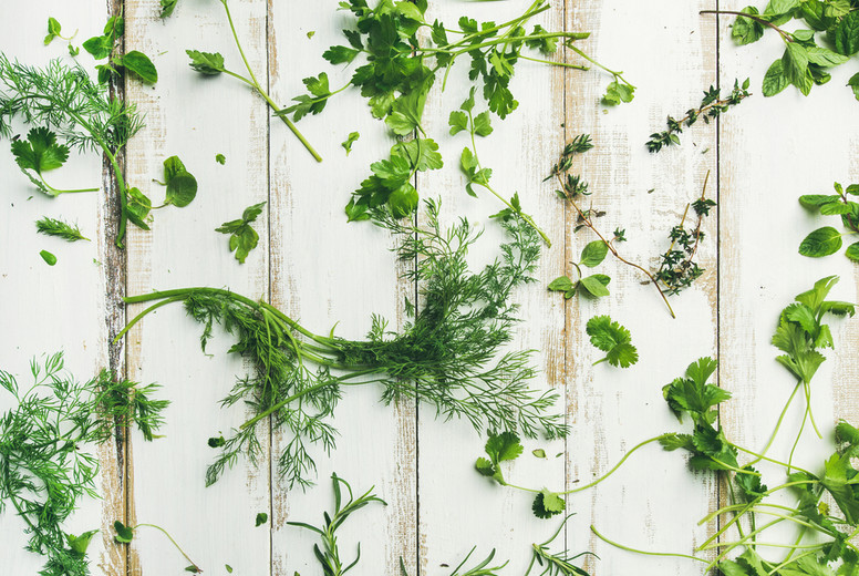 Various fresh green kitchen herbs for healthy cooking