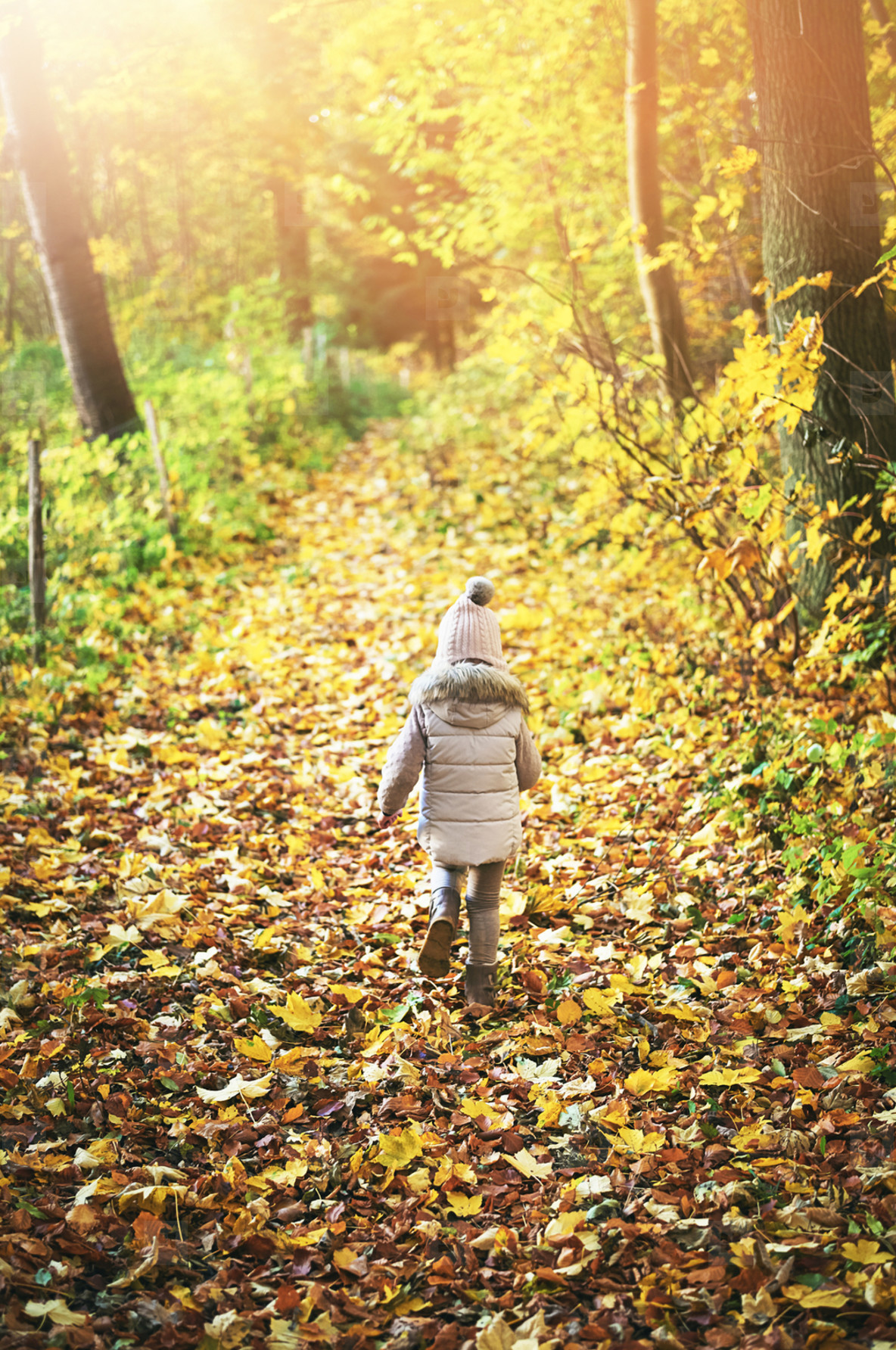 Little girl walking away on autumn leaves