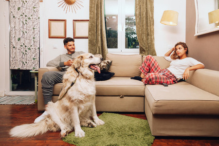 Young angry couple separated on sofa whit their dog