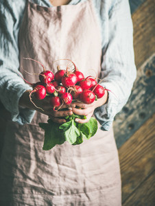 Female farmer in apron holding bunch of radish with leaves