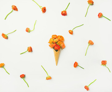 Waffle cone with orange buttercup flowers over white background flat lay