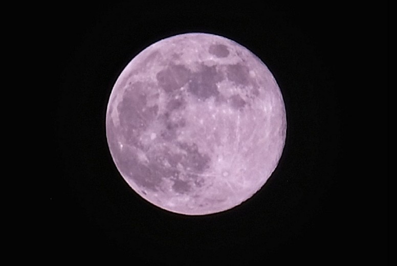 Pink Moon 170397