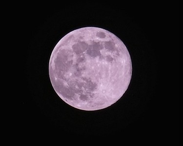 Pink Moon 170397