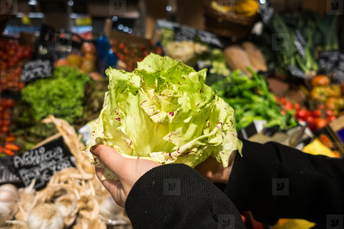Holding beautiful green lettuce