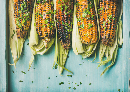 Grilled sweet corn with pesto sauce and herb copy space