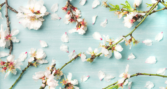 Spring floral background and texture with white almond flowers