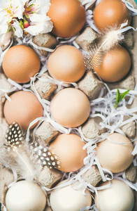 Natural colored eggs for Easter in box  close up