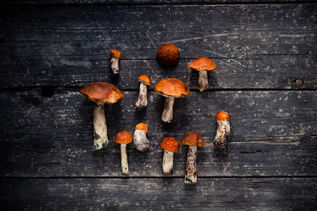 Collection of brown mushrooms on a wooden old board
