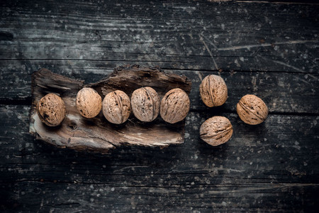 Healthy walnuts on the bark of a tree and the background of an old tree