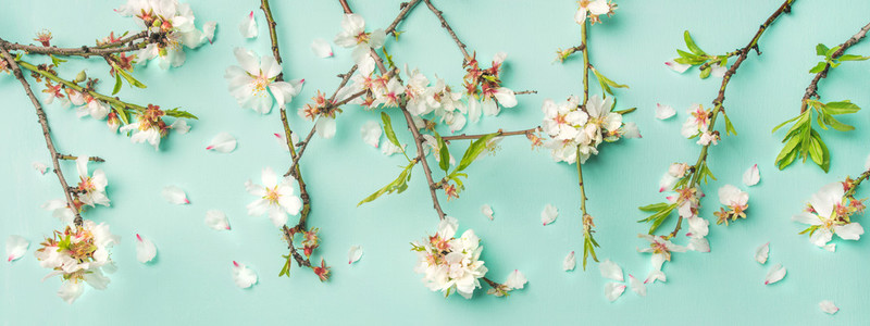 Spring floral background and texture with white almond flowers