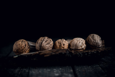 Healthy walnuts on the bark of a tree and the background of an old tree