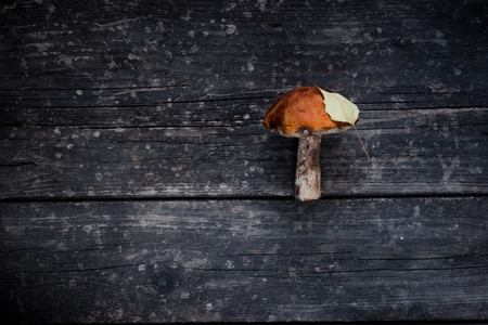brown mushroom with yellow leaf  on a wooden background