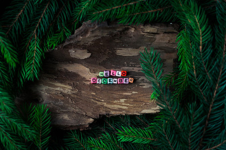 Colored small letters of cubes decoration on a wooden background with branches of a Christmas tree  Concept Hello December
