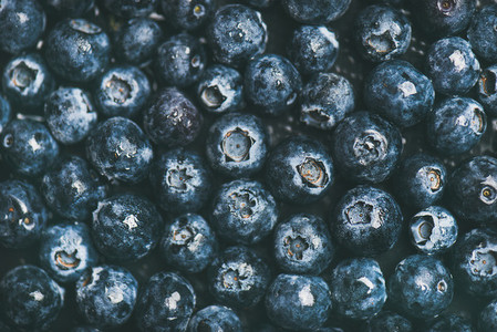 Fresh blueberry background  Texture blueberry berries top view