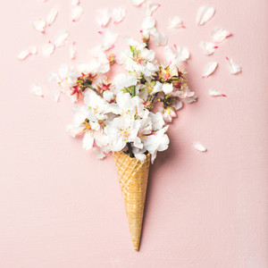 Waffle cone with white almond blossom flowers