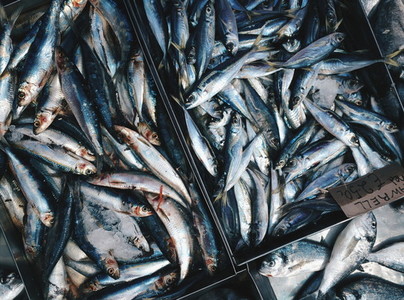 Raw mackerells on ice for sale