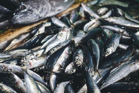 Sardines on a fish market