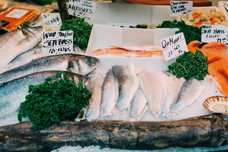 Sea bass for sale at fish market