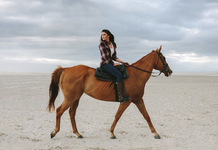 Beautiful woman riding a horse in evening